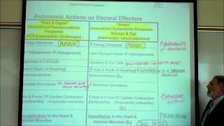 AUTONOMIC NERVOUS SYSTEM PART 2 by Professor Finkwmv [upl. by Huang]