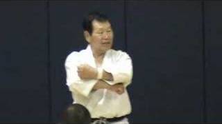 Shotokan Karate 8 [upl. by Alarise]