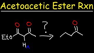 Acetoacetic Ester Synthesis Reaction Mechanism [upl. by Tiffi401]