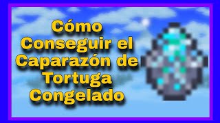 Cómo Conseguir el Caparazón de Tortuga Helado  Guía Terraria 143 [upl. by Dolhenty945]