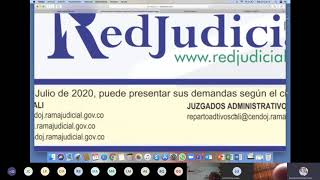 Capacitación Redjudicial y Sistemajudicial julio 11 20 [upl. by Amak]