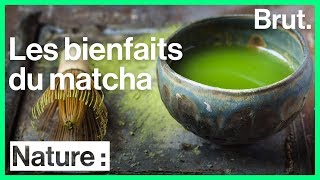 Les multiples bienfaits du matcha [upl. by Athene]