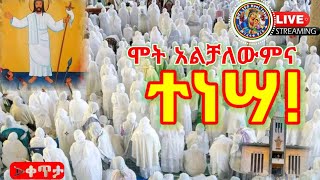 LIVE á‹ˆáˆá‹µáˆ­áŠ’ á‰µáŒˆá‰¥áˆ­ á‹áˆ²áŠ«á‹¨áŠ­áˆ­áˆµá‰¶áˆµ á‰µáŠ•áˆ£áŠ¤ áŠ¨áŠ áˆ›áŠ‘áŠ¤áˆ áŠ«á‰´á‹µáˆ«áˆ á‰ á‰€áŒ¥á‰³ Tinsae Honi Tube [upl. by Aihseken]