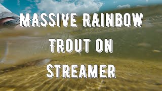 Massive Rainbow trout on Streamer  Fly Fishing for Trout  Oxfordshire  UK [upl. by Jilly]