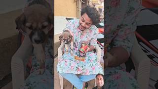 कुत्ते🐕 ने मनाया 🕯दिवाली happydiwali comedy funnydog dogs doglover diwali youtubeshorts [upl. by Casavant]