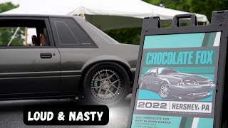 Nasty Loud Mustangs Chocolate Fox 2022 4k coverage [upl. by Atnohsal627]