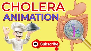 What is cholera  Causes Signs and Symptoms Diagnosis  Treatment  cholera animation  diarrhea [upl. by Sipple]