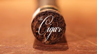 The Cigar An Introduction [upl. by Ress763]