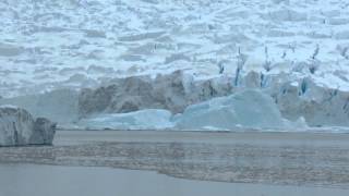 Awesome Calving Glacier Neko Harbor Antarctica [upl. by Bellda]