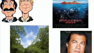 Steven Seagal Bob amp Tom Montage 2wmv [upl. by Antipas363]