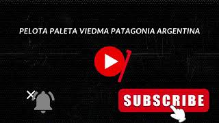 PELOTA PALETA VIEDMA PATAGONIA ARGENTINA Live Stream [upl. by Gurolinick184]