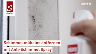 Anti Schimmel Spray  Schimmel am Fenster entfernen [upl. by Nanji]