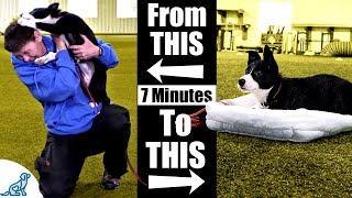 Teach Your Puppy To Calm Down With This 7 Minute Exercise [upl. by Aitnecserc]