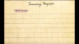 The Immune System Phagocytes the basic concepts [upl. by Enelam]