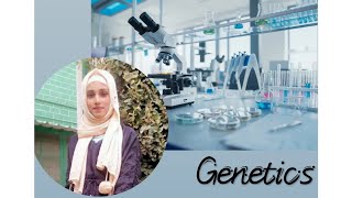 Mechanism of Replicative TranspositionTraansposaseResolvase [upl. by Sadirah]