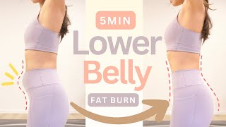 Quick Lower Belly Fat Workout  100 Burn amp Result Guaranteed  No equipment [upl. by Oemor]