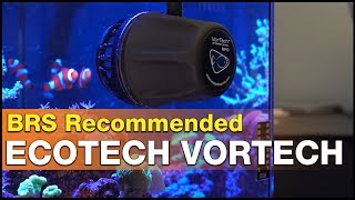 Worth it The EcoTech VorTech MP10  MP40 and MP60 review  It’s BRS recommended [upl. by Attenyl]