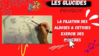 🔥 Révision la filiation des Aldoses amp Cétoses isomères avec des exemples et exercice BIOCHIMIE [upl. by Ennirak706]