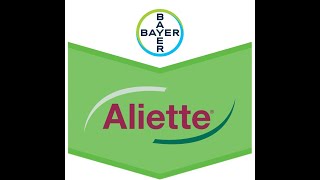 Aliette® 80 WG Fungicid sistemic pentru combaterea focului bacterian la marpargutui [upl. by Einhapets]