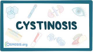 Cystinosis  causes symptoms diagnosis treatment pathology [upl. by Eiral]