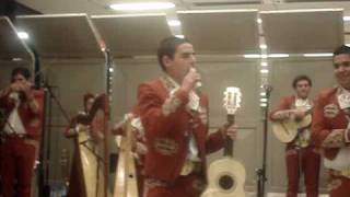 Mariachi Vaqueros El Bilingue [upl. by Learsi]