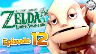 The Legend of Zelda Links Awakening Gameplay Walkthrough Part 12  Dampes Shack [upl. by Dadinirt]