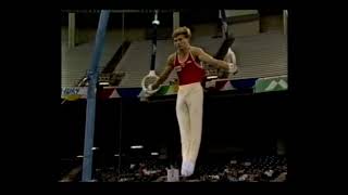 ヴァレリー・リューキン Valeri Liukin URS 1991 World Championship SR TF [upl. by Bristow]