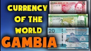 Currency of the world  Gambia Gambian dalasi Exchange rates Gambia Gambian banknotes [upl. by Assirrec404]