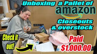 Unboxing a Pallet of Amazon Overstock and Shelf Pulls that I paid 1000 for [upl. by Hibben885]