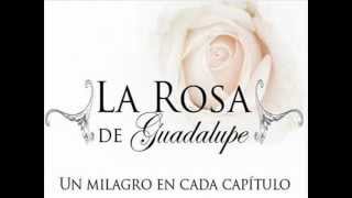 Musica de la rosa de Guadalupe [upl. by Acacia468]