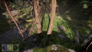 The Elder Scrolls VI  Valenwood Gameplay [upl. by Hcab813]