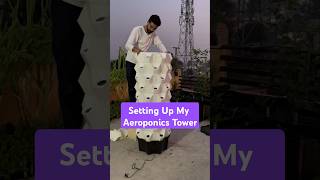 छत पर बिना मिट्टी पौधे उगाओ Unboxing amp Setting Up a PineappleShaped Aeroponics Tower [upl. by Seluj]