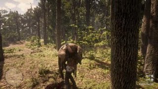 Red Dead Redemption 2  RDR2  FLORIDA PANTHER  LOCATION  ZOOLOGIST 91  SKIN DEEP [upl. by Adaner2]