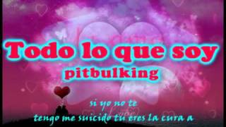 Todo lo que soy  letra  pitbulking [upl. by Yrahcaz]