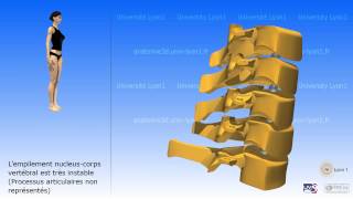 La colonne cervicale [upl. by Seuqramed907]