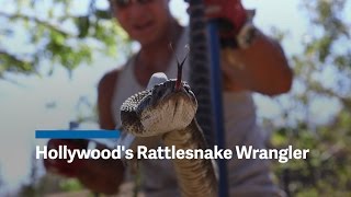 Meet Hollywoods rattlesnake wrangler [upl. by Nnylyt52]