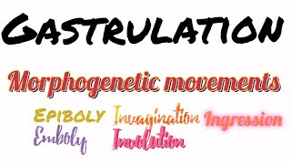 Gastrulation  Morphogenetic movements  Ingression  Involution  Epiboly  Delamination  Emboly [upl. by Arlynne]