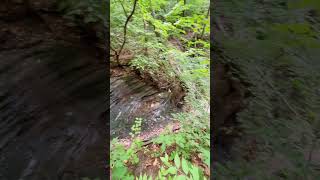 Starved Rock State Park outdoors canyon waterfall [upl. by Mast996]