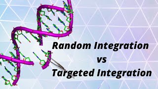 Random integrations vs targeted integration [upl. by Longo251]