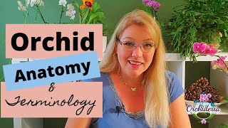 Orchid Anatomy amp Terminology  Free PDF Glossary Included for Download [upl. by Abbottson]