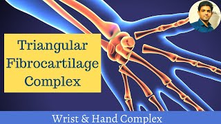 Triangular Fibrocartilage complex  Wrist and Hand Complex [upl. by Tecil208]