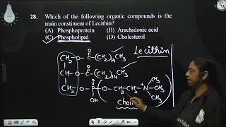 Select the correct statementsampndash aampnbsp ampnbspNitrogenous compound in both lecithin and ce [upl. by Germaine]