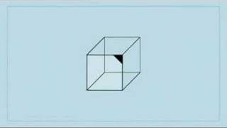 The Necker Cube [upl. by Etka]