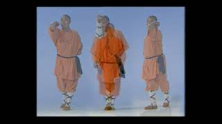 Shaolin Ji Ben Gong Basic Movm [upl. by Wicks]