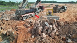 Part 67 New Awesome Operator Big Land Filling Construction Dozer Push Rock Clearing Level [upl. by Akilegna990]