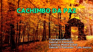 Videokê  Cachimbo Da Paz  Gabriel O Pensador part Lulu Santos  16177 [upl. by Chaim343]