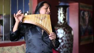 Hallelujah on Panflute  Aleluya by Edgar Muenala  Official Music Video [upl. by Tnek]