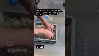 BIGA pizza dough [upl. by Akerdnahs]