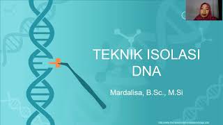 Teknik Isolasi DNA Ekstraksi DNA Genome [upl. by Judson]