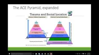 Trauma Informed Practices in Schools Considerations for Educators [upl. by Erodeht69]